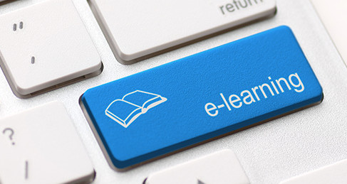 e-Learning Support Teachers in State Schools on proposed restructuring