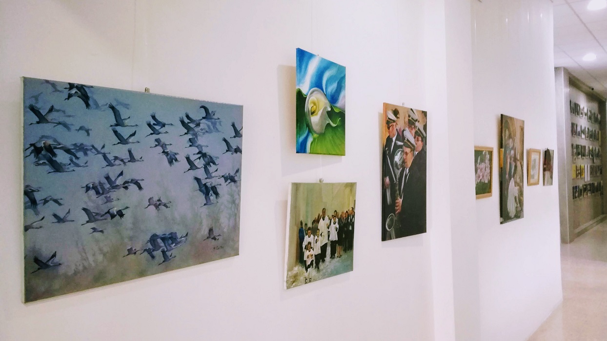 New art exhibition at the MUT Office – by Marianne Cirillo